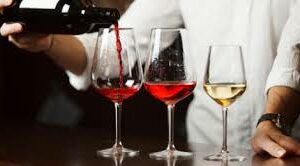 Cours Œnologie Duo